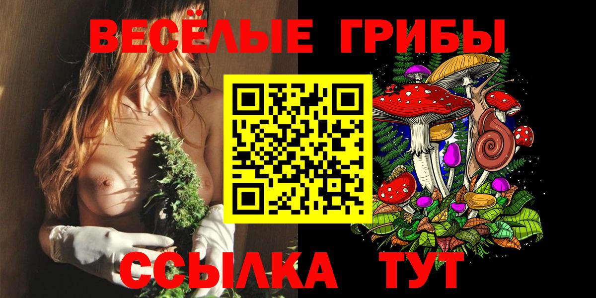 Черкесск  Галлюциногенные грибы Magic Shrooms  Вход с VPN 